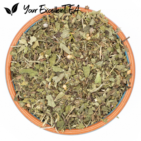 Lemon Balm Melissa