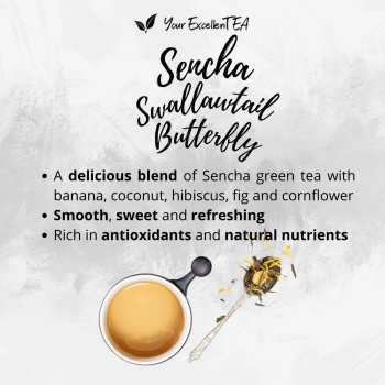 Sencha Swallowtail Butterfly