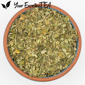 Moringa Oleifera