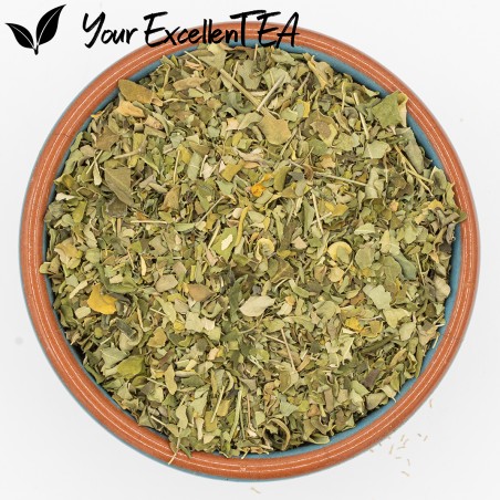 Moringa Oleifera