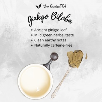 Ginkgo Biloba