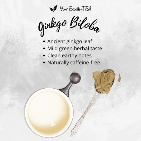 Ginkgo Biloba