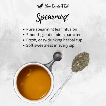 Spearmint Tea